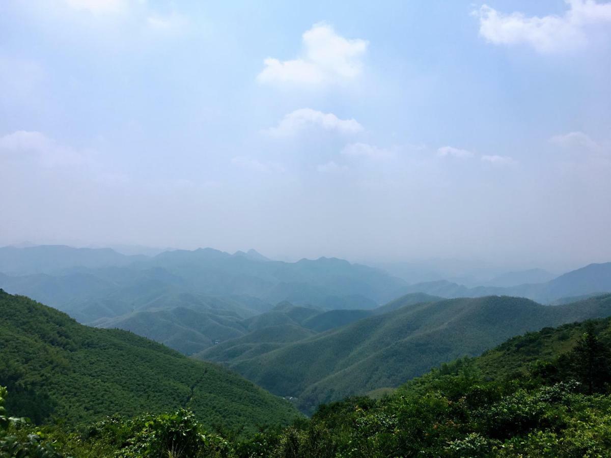 Moganshan Bamboo View Guesthouse Töcsing Kültér fotó